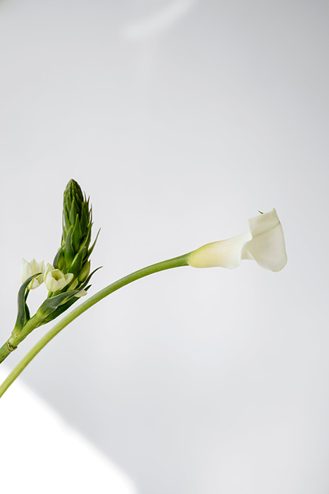 wedding flowers ireland